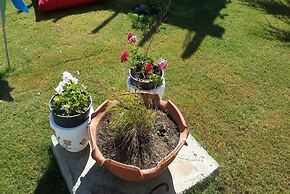 BO062 by Villaofsummer