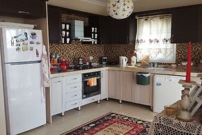 BO062 by Villaofsummer