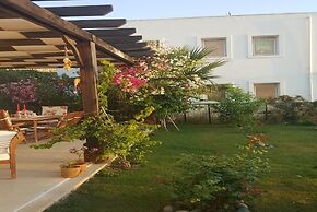 BO062 by Villaofsummer