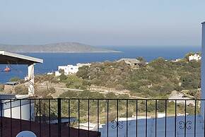 BO062 by Villaofsummer