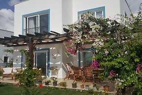 BO062 by Villaofsummer