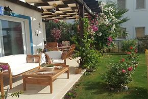 BO062 by Villaofsummer