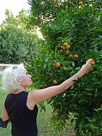 The Cotton House Hotel