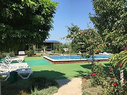 Gregori Club