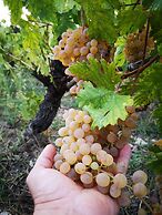 La Tinaia Country House