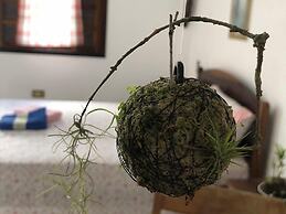 Pousada Atelier Aly da Costa