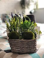 Bunga-Love - Adults Only