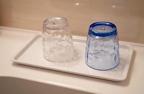 Kyoto Plaza Hotel Kyoto Station South