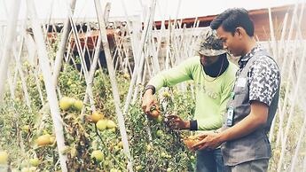 Swarga Lodge and Homestay