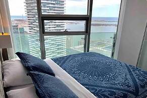 Luxury Condos at York Street