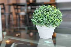 Luxury Condos at York Street