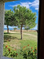 Pinea Mare