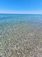 Pinea Mare