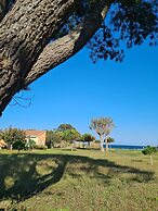 Pinea Mare