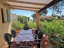 Pinea Mare