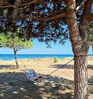 Pinea Mare