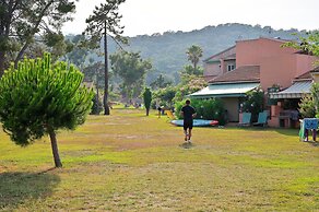 Pinea Mare