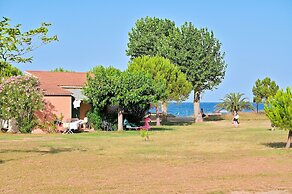 Pinea Mare