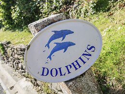 Dolphins