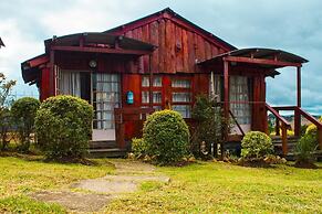 Run n' Fire Garden Court