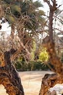 Hotel Boutique Hort de Nal