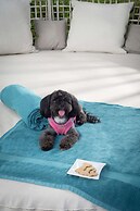 Serenade Punta Cana Beach & Spa Resort - All Inclusive