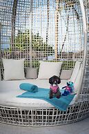 Serenade Punta Cana Beach & Spa Resort - All Inclusive