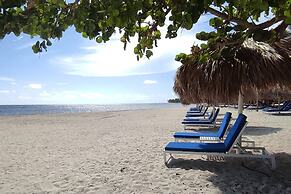 Serenade Punta Cana Beach & Spa Resort - All Inclusive