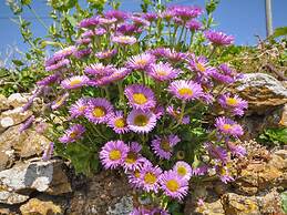 Cliff Farm No. 2 Cottage