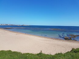 Beach Cove View