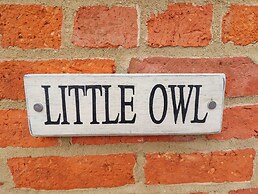 Little Owl