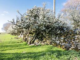 5 Ceirnioge Cottages