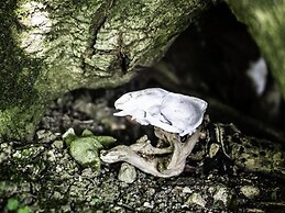 Leys At Valley View Farm