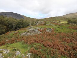 Llwyn Bedw