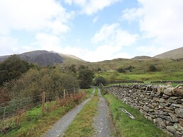Llwyn Bedw