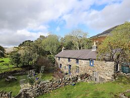 Llwyn Bedw