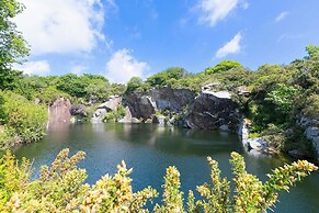 Costentyn, Tor Down Quarry