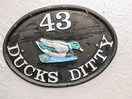 Ducks Ditty