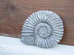 Ammonite Cottage