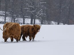 25 Langlands Terrace