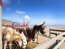 Beach View Apartment 3