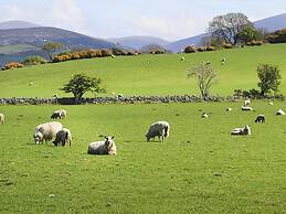 Hafod