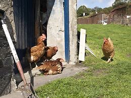 17 Victoria Terrace - Perthi