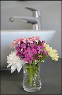 Vineyard Views Country House