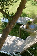 Newly renovated Garden Flat