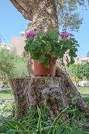 Newly renovated Garden Flat