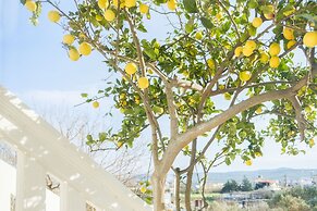 NeSo - Peter's Flat steps to Beach with Great Views