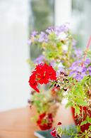 Roof garden Seaside lux Home