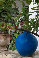 Roof garden Seaside lux Home