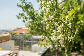 Splendid Views from a Cozy Cottage with a Garden Terrace